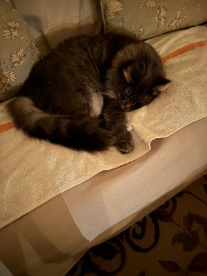 IMG_1364.jpeg