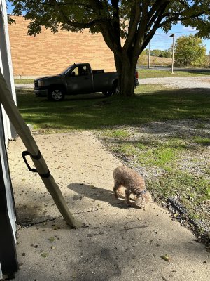 IMG_0234.jpeg