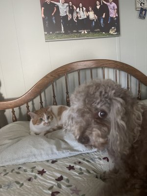 IMG_7474.jpeg