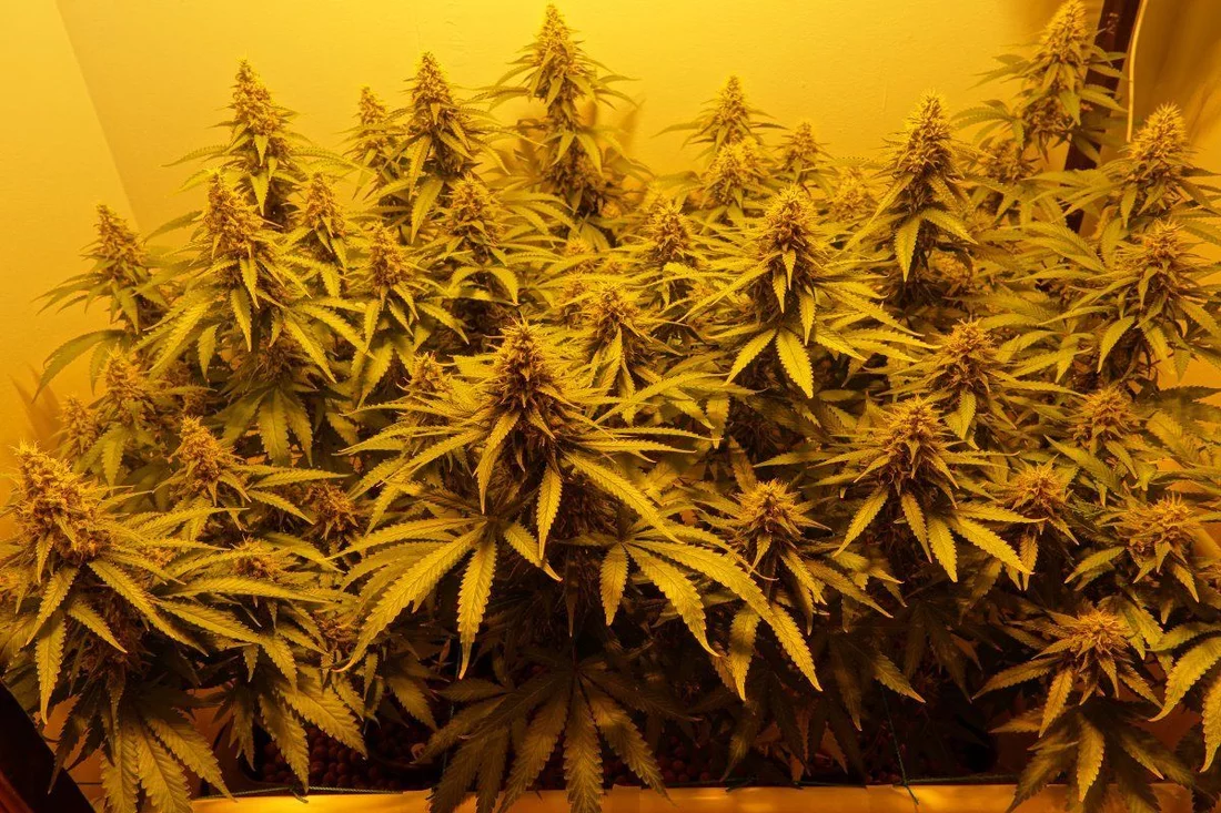 Group Shot F6 1