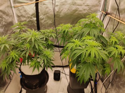 IMG_20230416_104159.jpg