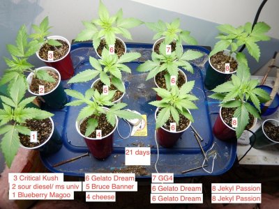3 weeks group shot.jpeg