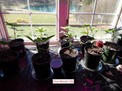 1 month group shot.jpeg