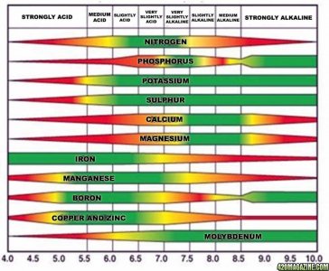 plant-nutrient-absorption-at-different-pH.jpg