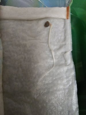 20230419_183243.jpg