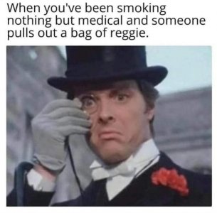lutfr2qxhfk51.jpg