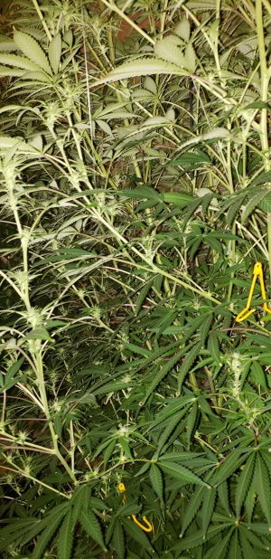 20230106_093344.jpg