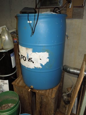 DSCN0484.JPG