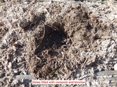 holes dug 4:27.jpeg