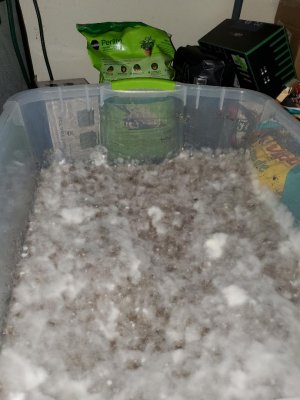 soil.jpg