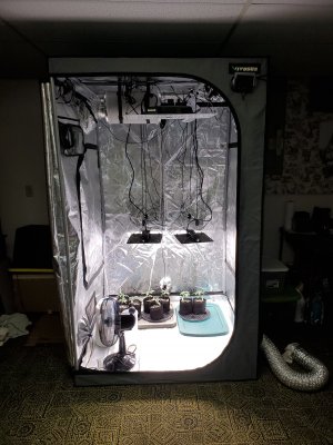 20230504_215811.jpg 20230504_215811.jpg