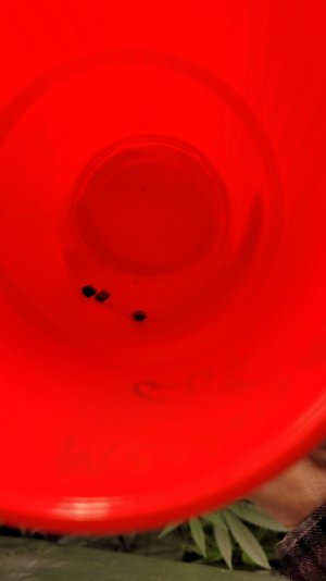 20230505_200317.jpg