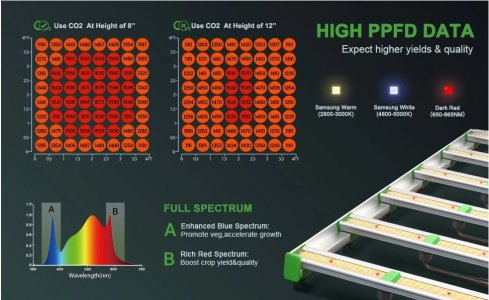 fce8000_spectrum.jpg