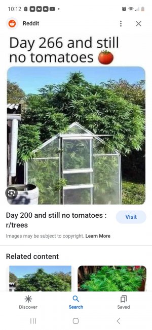 Screenshot_20230707_221233_Google.jpg