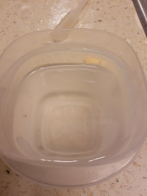 IMG_20230711_011706273.jpg