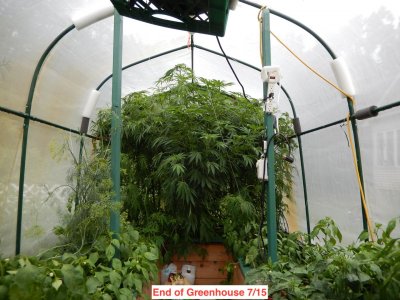 Greenhouse July 15.jpeg