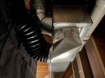 IMG_3066.jpeg