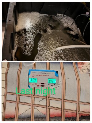 20230720_081431-COLLAGE~2.jpg