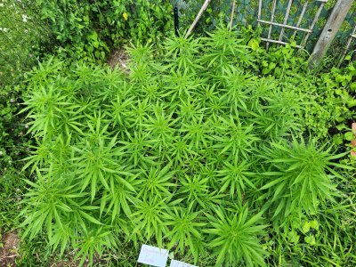 20230720_143139.jpg