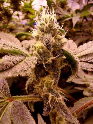20230722_224429.jpg