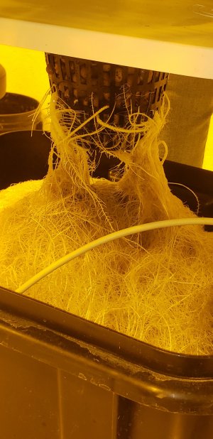 20230731_101601.jpg