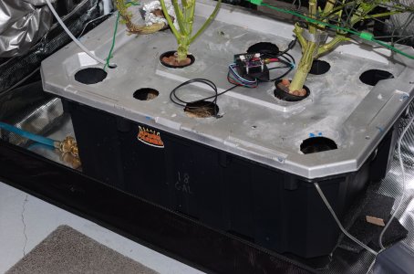 WaterChange.jpg