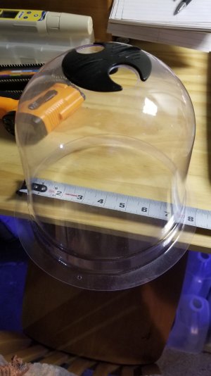 20230815_113211.jpg