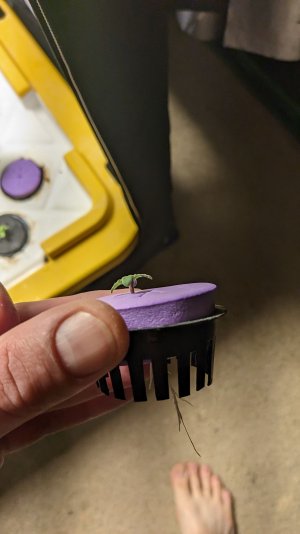 PXL_20230818_114238861.jpg