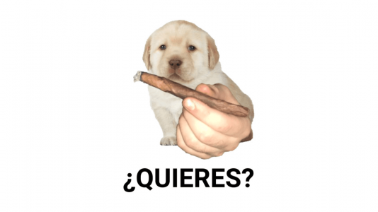 1692657323850.png 1692657323850.png