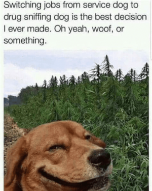 1693054930832.png
