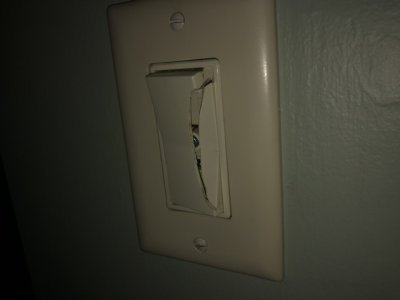 IMG_4590.jpeg