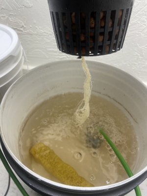 IMG_3405.jpeg IMG_3405.jpeg