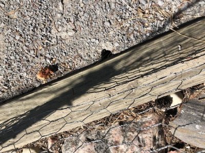 IMG_4764.jpeg