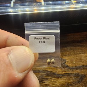 20230914_171100.jpg