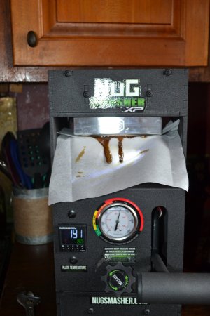 DSC_0242.JPG