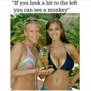 IMG_1314.jpeg