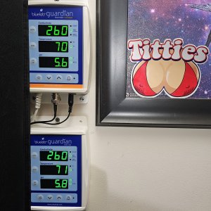 20230930_210654.jpg