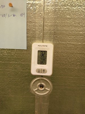 1001230800c.jpg