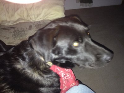 IMG_0094.jpeg