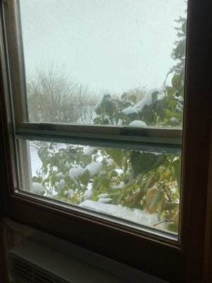 IMG_3587.jpeg
