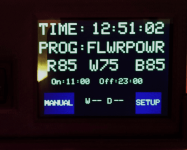 CLW early flower.png