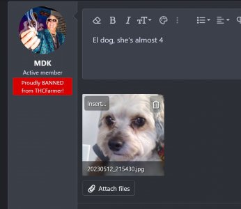 mdk.jpg