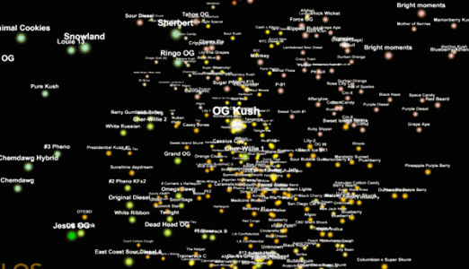 20marijuana-articleLarge.gif