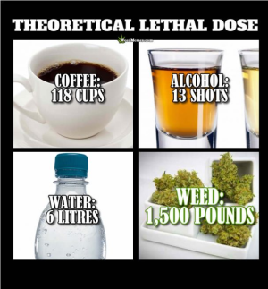 1699792762365.png