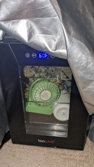 1701520560483.jpeg