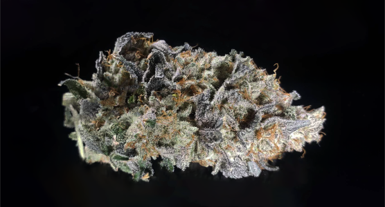 TDS_002_medium_002.png