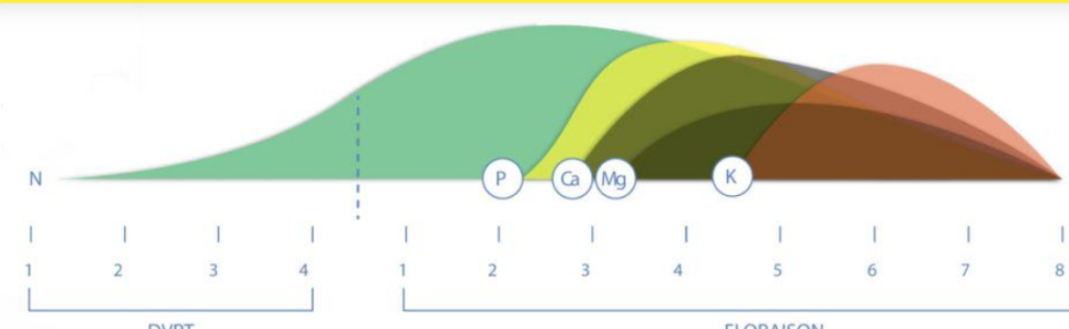 1702215627764.png 1702215627764.png
