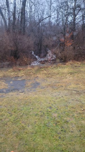 20231218_082837.jpg 20231218_082837.jpg