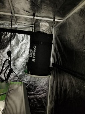 filter placement.jpg