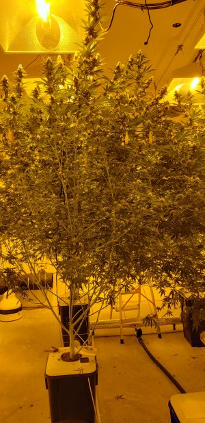 20231219_091939.jpg